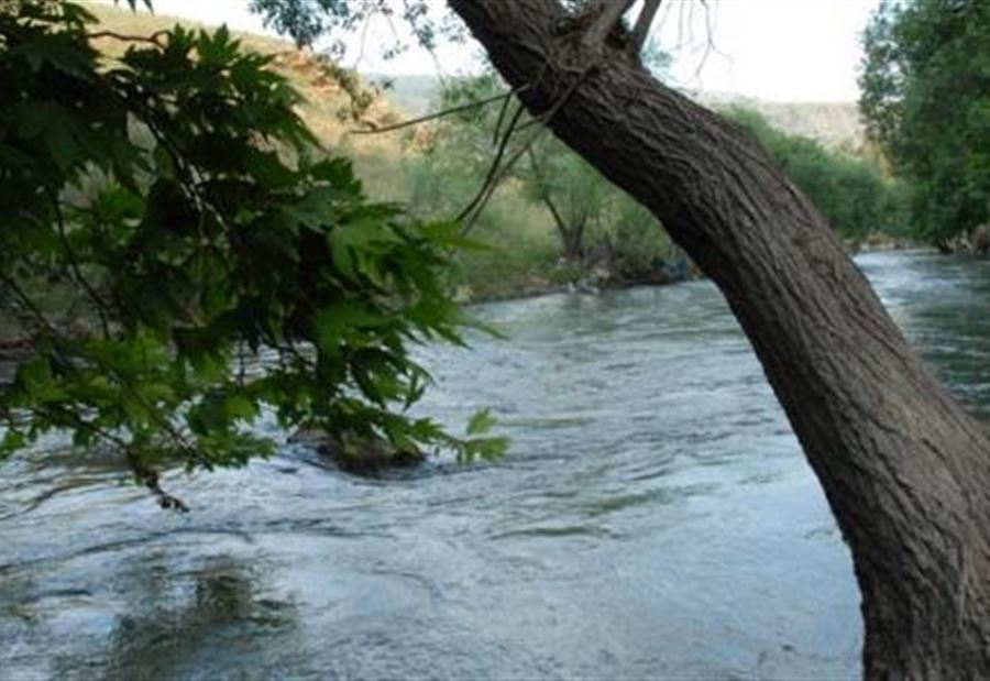 Health Risks of Swimming in the Litani Riverbed in Lower Basin Due to Sewage Contamination