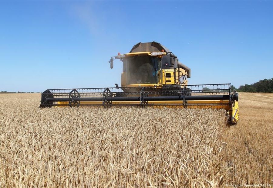 Ukraine is preparing to resume grain exports … and warns!