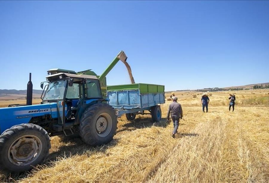 Including the Arab countries … The grain crisis of Ukraine hits 5 countries