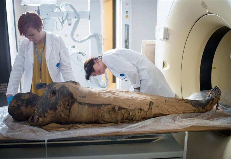 “Pregnant Egyptian mummy” and a new discovery that surprises scientists!