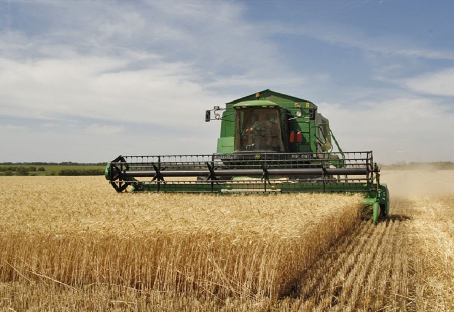 An Arab country announces a “catastrophic” reduction in wheat production!